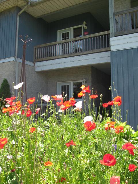 Highlands Four Season Resort Calabogie Eksteriør bilde